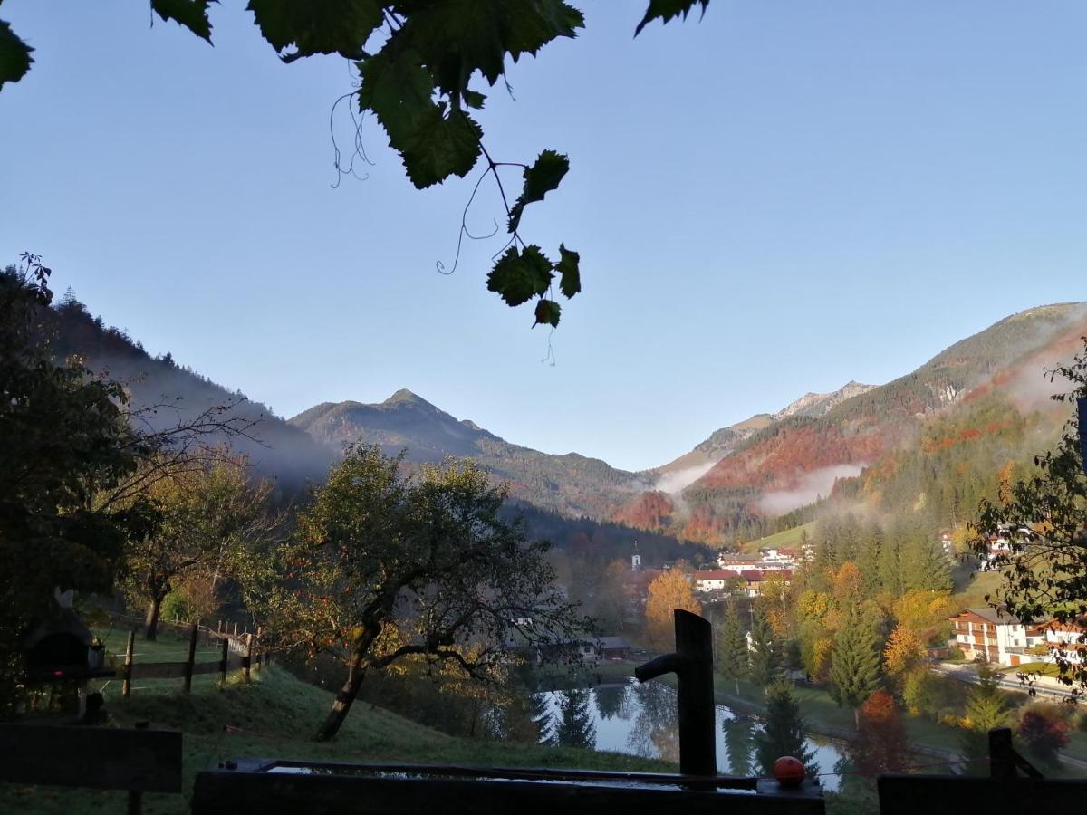 Bio-Bauernhof "Hecherhof" Thiersee Dış mekan fotoğraf
