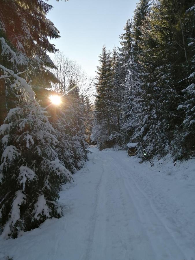 Bio-Bauernhof "Hecherhof" Thiersee Dış mekan fotoğraf