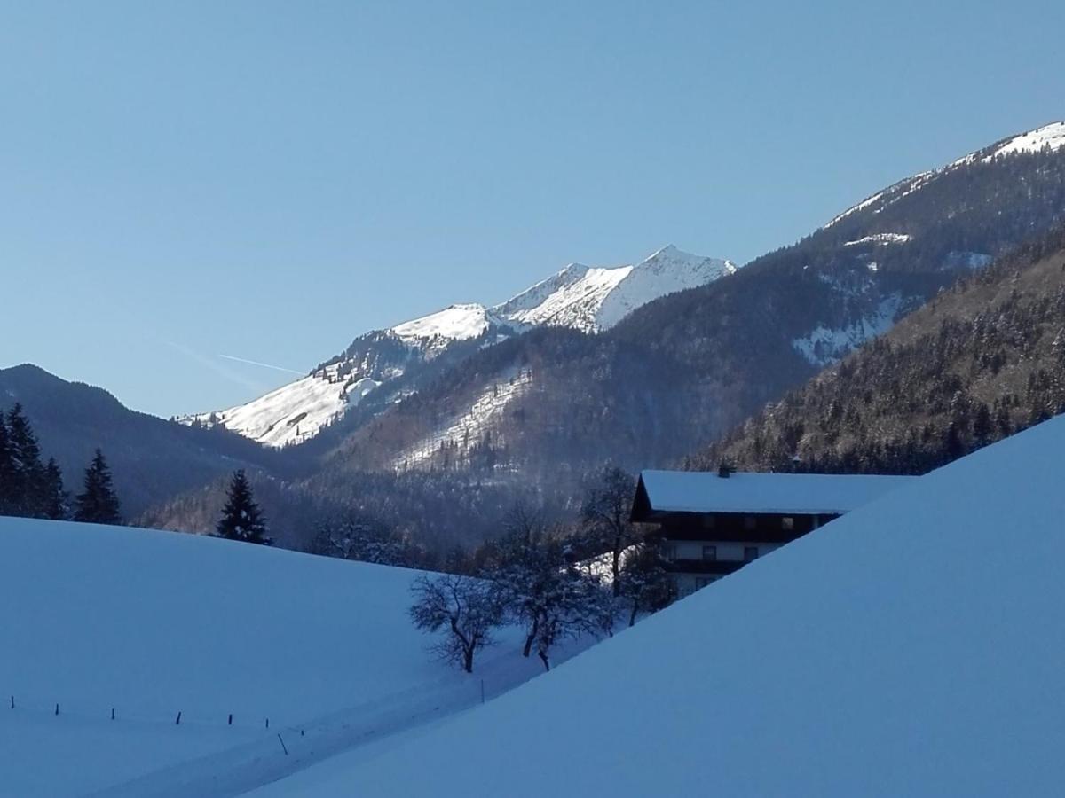 Bio-Bauernhof "Hecherhof" Thiersee Dış mekan fotoğraf