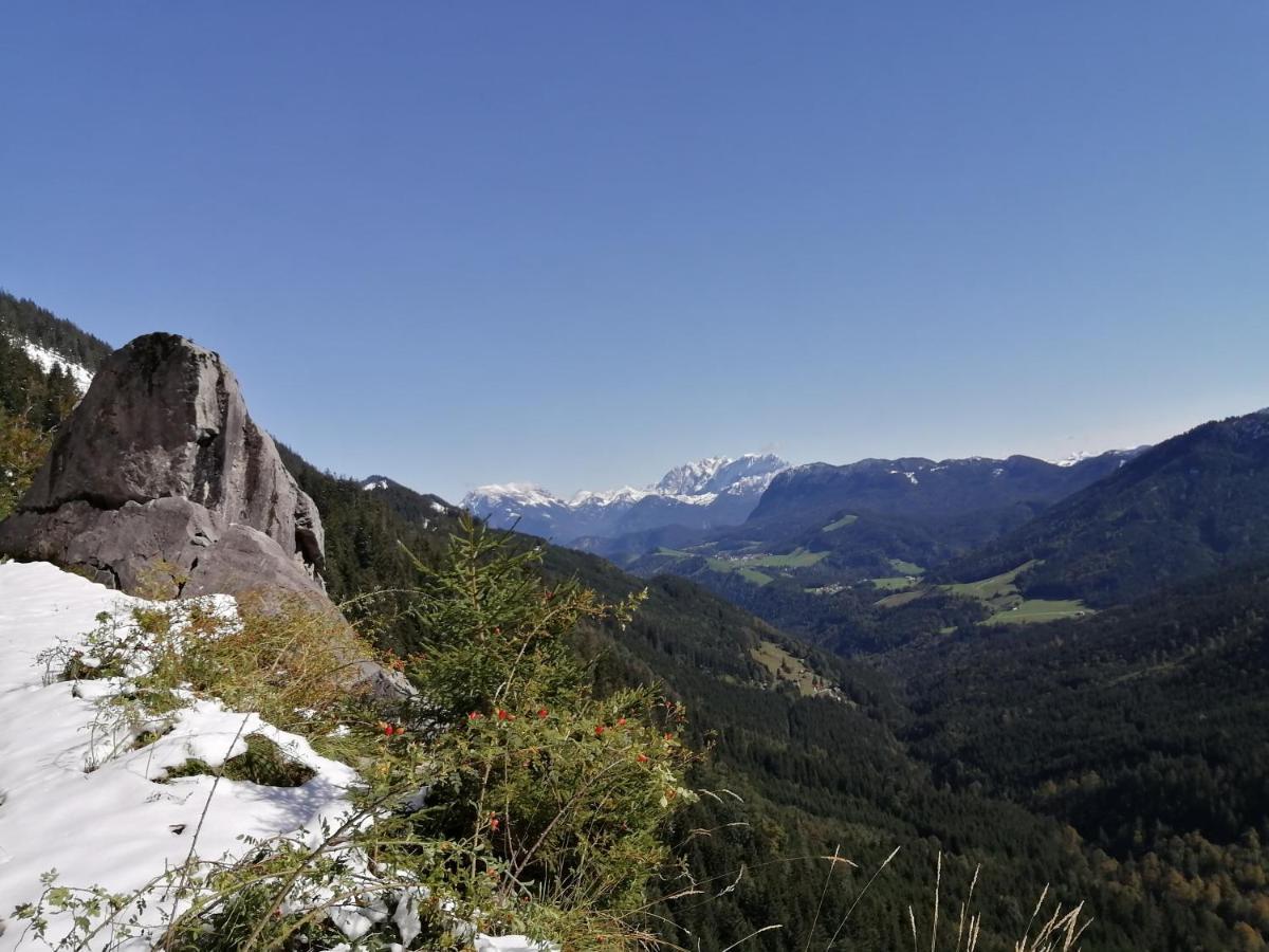 Bio-Bauernhof "Hecherhof" Thiersee Dış mekan fotoğraf