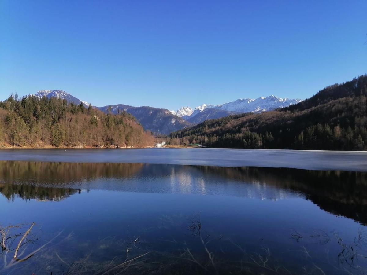 Bio-Bauernhof "Hecherhof" Thiersee Dış mekan fotoğraf