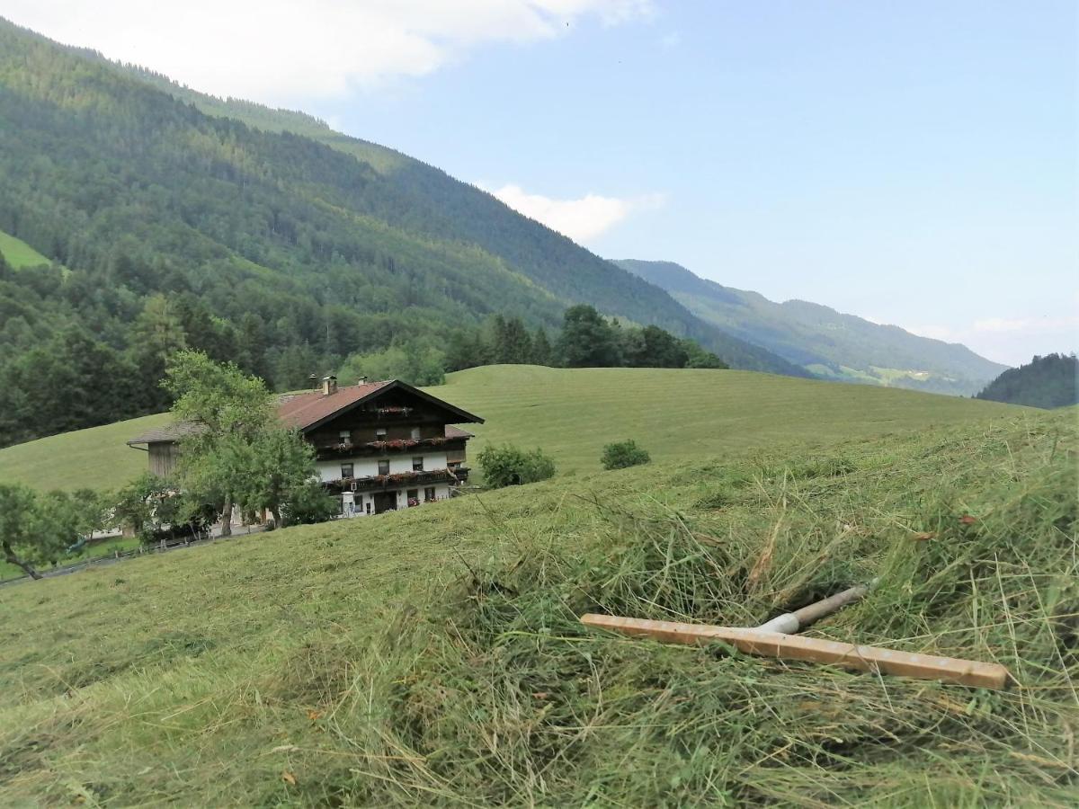 Bio-Bauernhof "Hecherhof" Thiersee Dış mekan fotoğraf