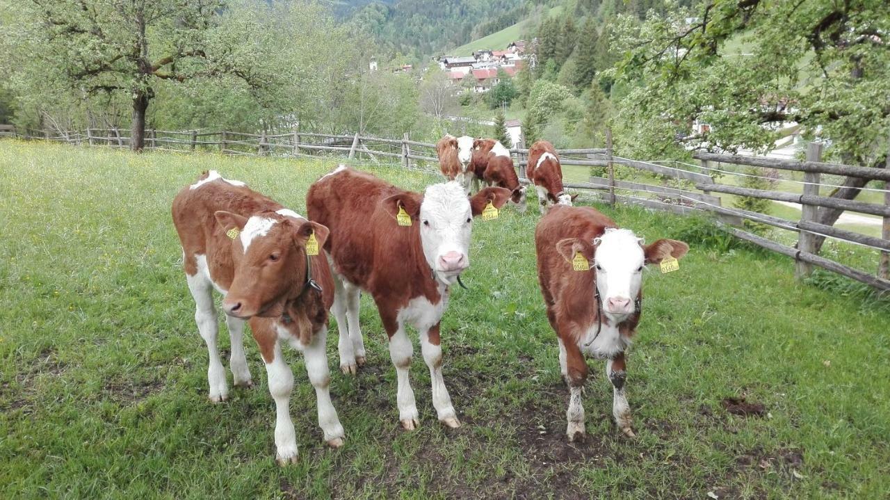 Bio-Bauernhof "Hecherhof" Thiersee Dış mekan fotoğraf