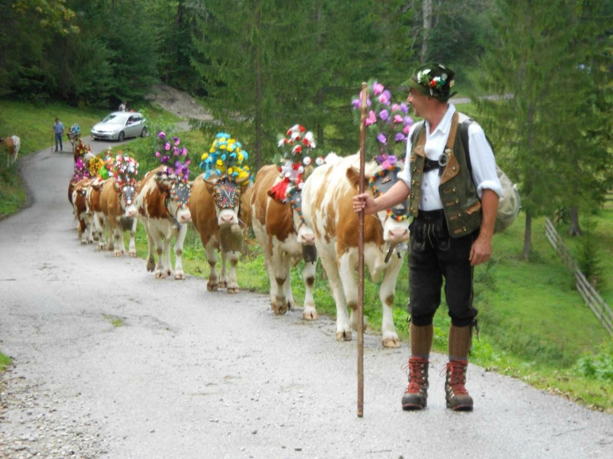 Bio-Bauernhof "Hecherhof" Thiersee Dış mekan fotoğraf