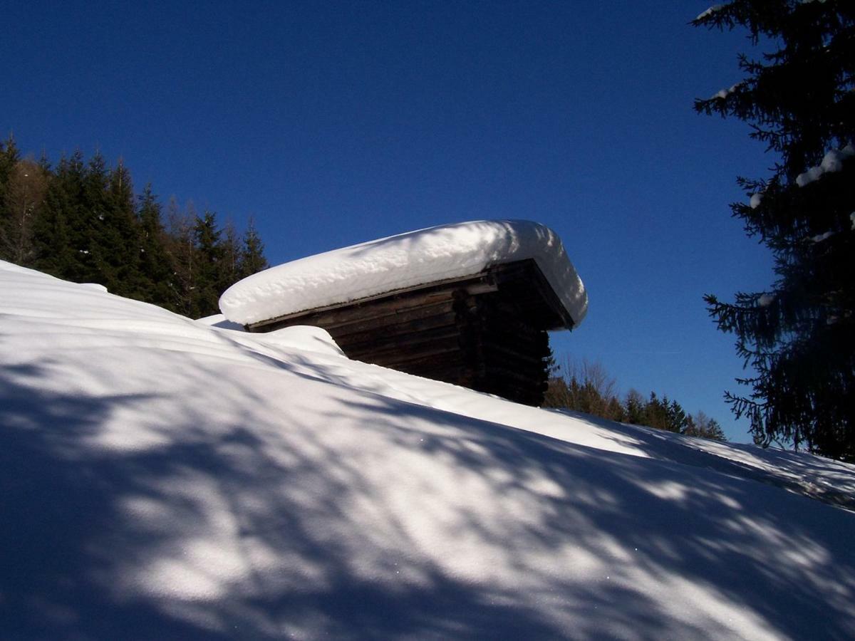 Bio-Bauernhof "Hecherhof" Thiersee Dış mekan fotoğraf